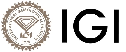 logo of IGI